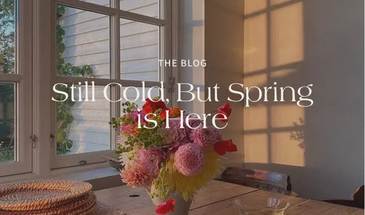 Still Cold, But Spring is Here - The Rose Edit