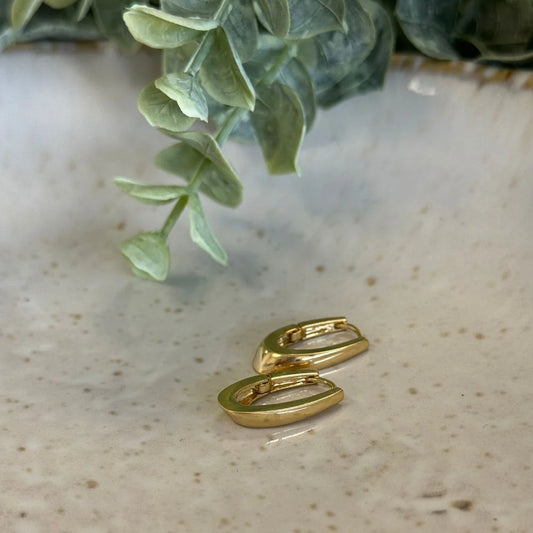 Gold hoop earrings on a textured surface with green leaves in the background